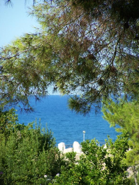 Tenuta Molino Di Mare- Ecoresort Con Villini Rodi Garganico Eksteriør bilde